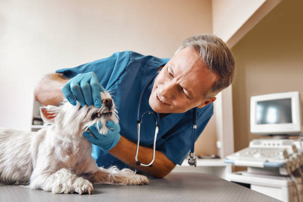  Richwood, NJ Emergency Dentist Pros